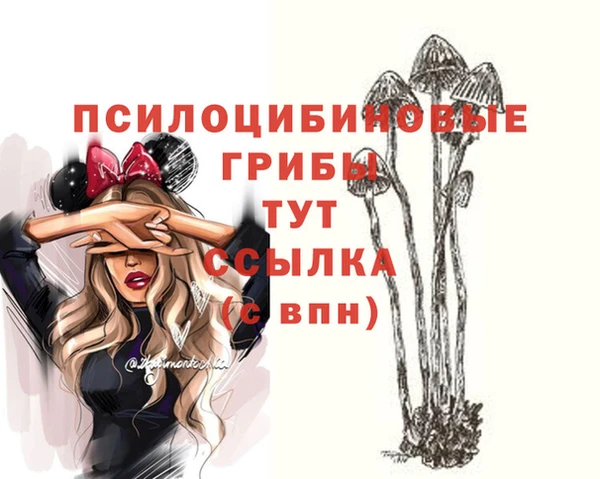 СК Алзамай