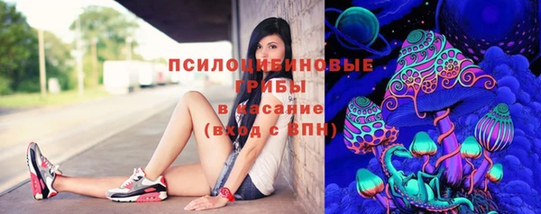 СК Алзамай