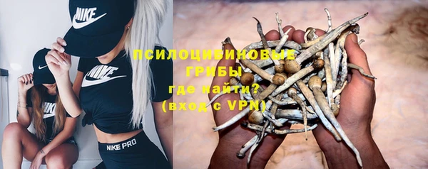 твердый Нефтегорск