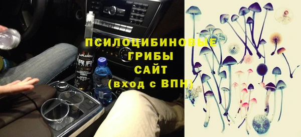 шишки Алексин