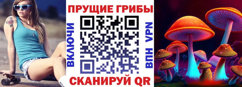 Галлюциногенные грибы Psilocybe  kraken ссылки  Тамбов 