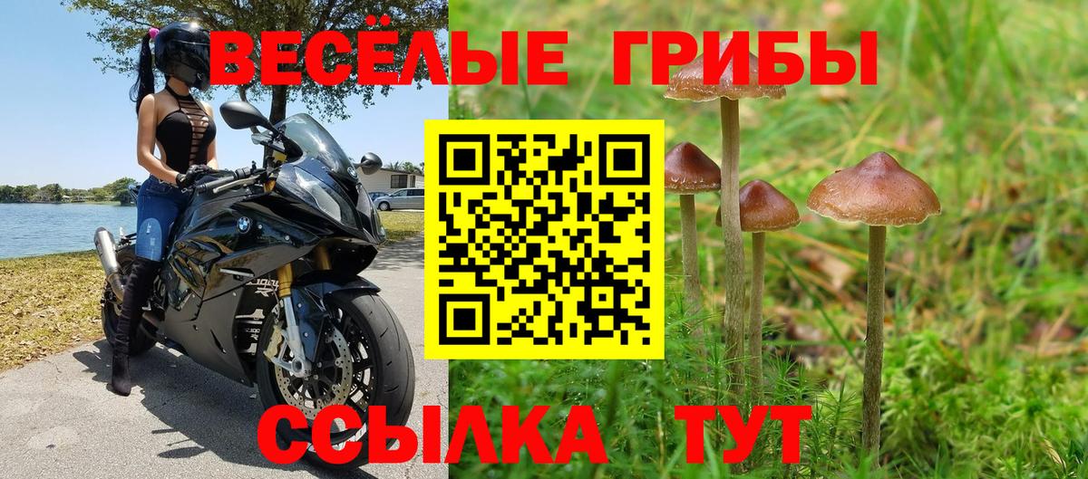 Тамбов  Галлюциногенные грибы мухоморы  Вход с VPN 